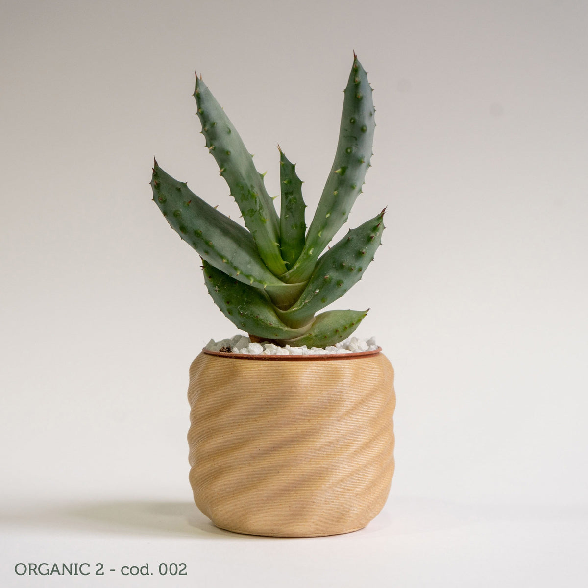 Organic 2
