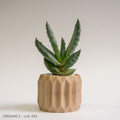 Origami 2