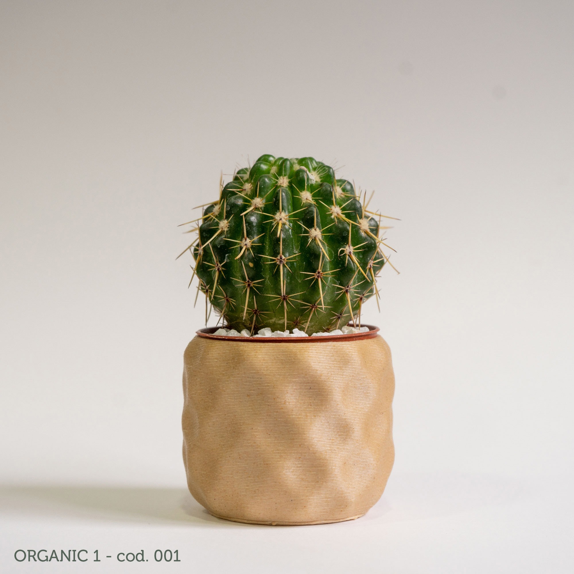 Organic 1