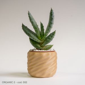 Organic 2