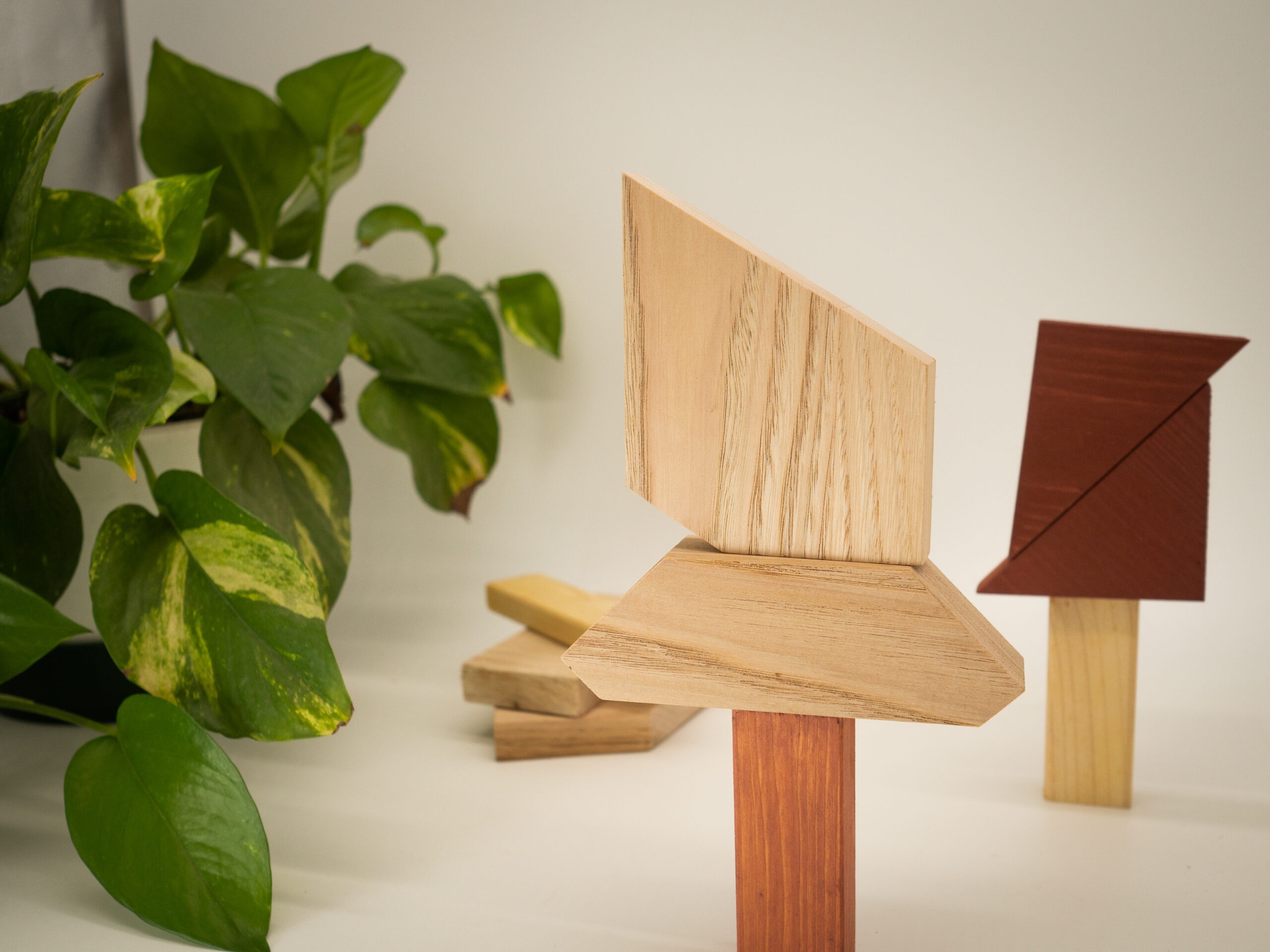 SKARTI - gioco di costruzioni in legno naturale