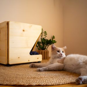 Cuccia per Gatti in Legno di Abete Naturale