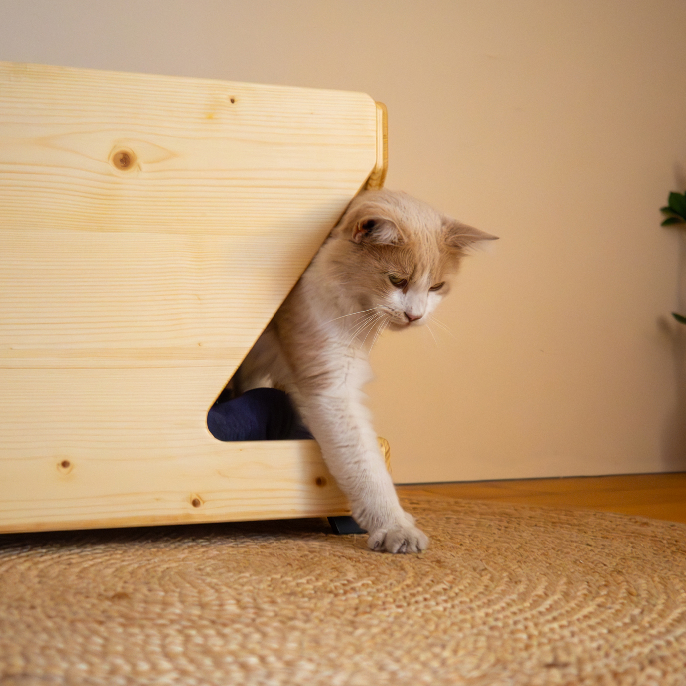 Cuccia per Gatti in Legno di Abete Naturale