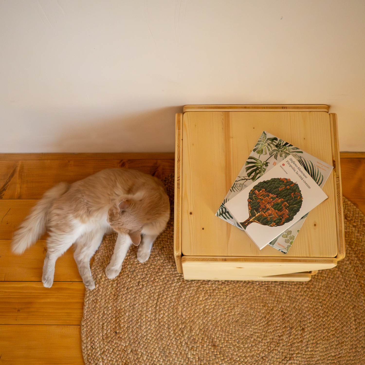 Cuccia per Gatti in Legno di Abete Naturale